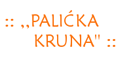 Vila Palićka Kruna logo